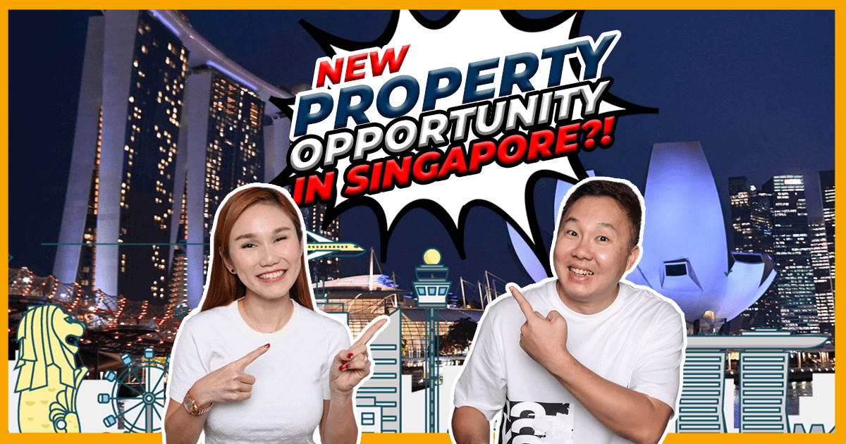 New Property Oppotunities